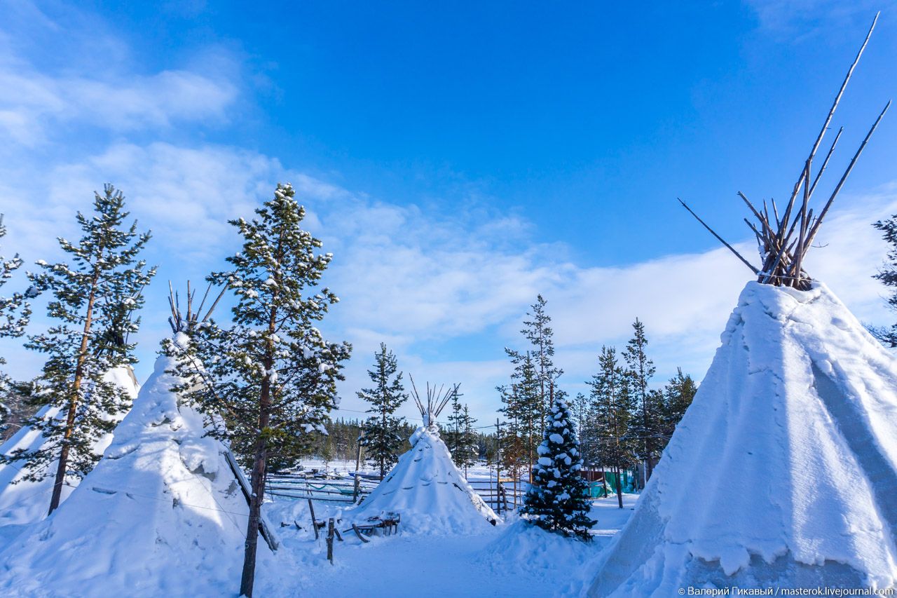 Кувакса жилище саамов фото