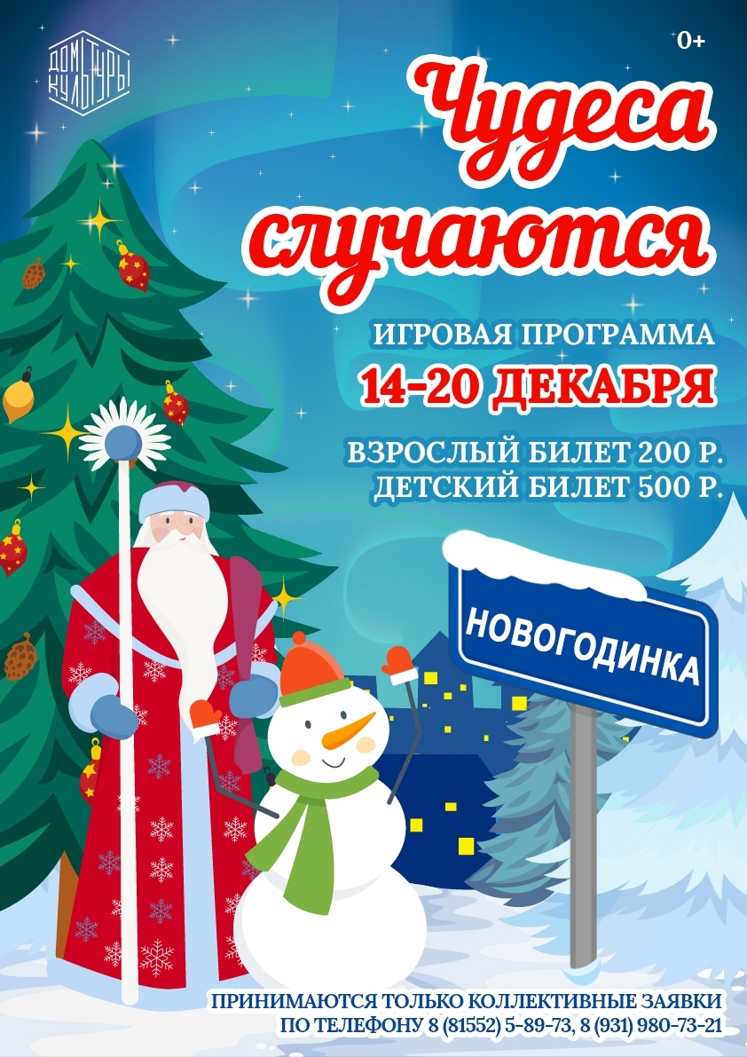 Новогодняя программа «Чудеса случаются»