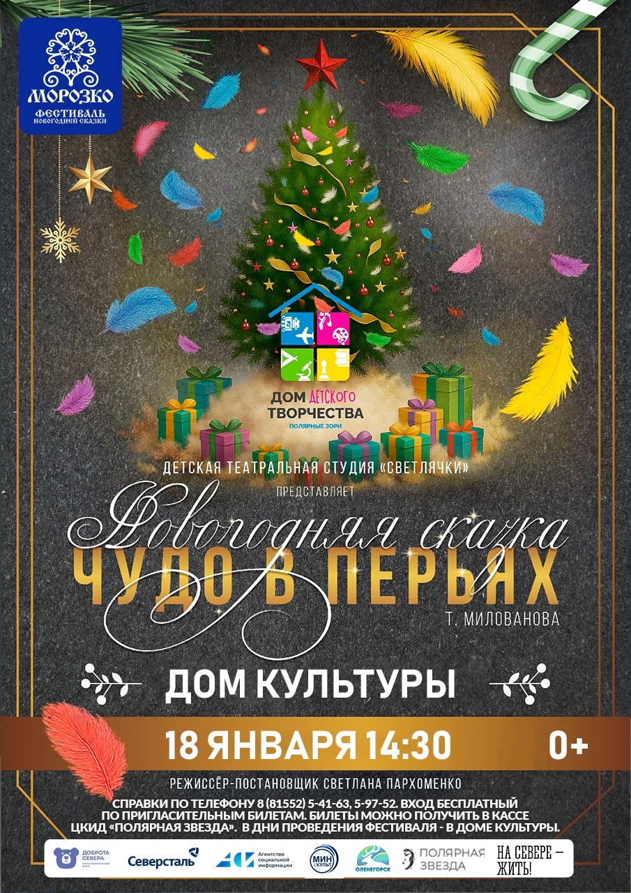Новогодняя сказка «Чудо в перьях» IX Областного Фестиваля новогодней сказки «Морозко»